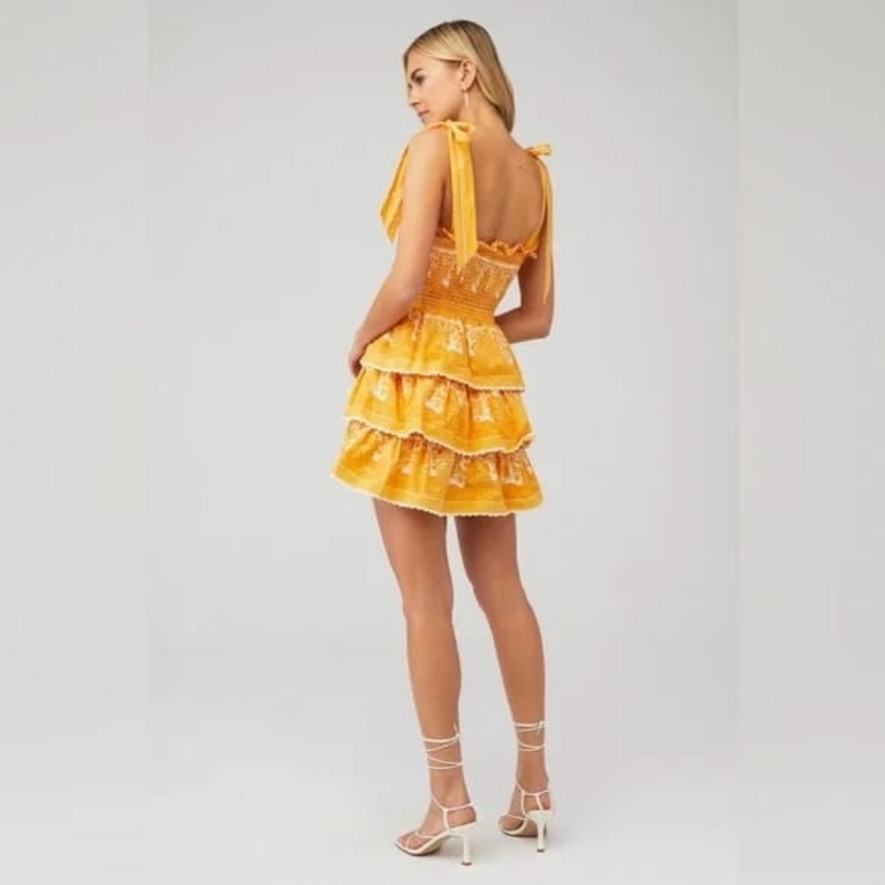 017 CLEOBELLA Eliana Mini Dress - Picture 2 of 11